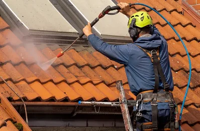 Démoussage et hydrofuge de toiture à Cornas